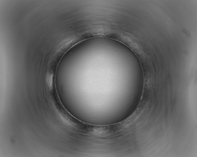 X0000111900070200908031126