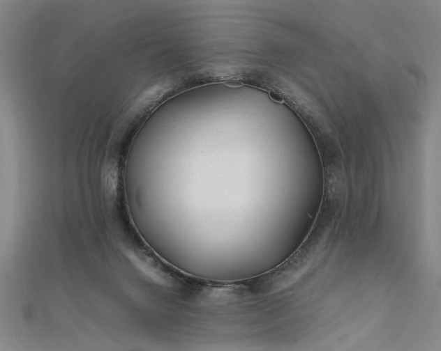 X0000111900072200908031126