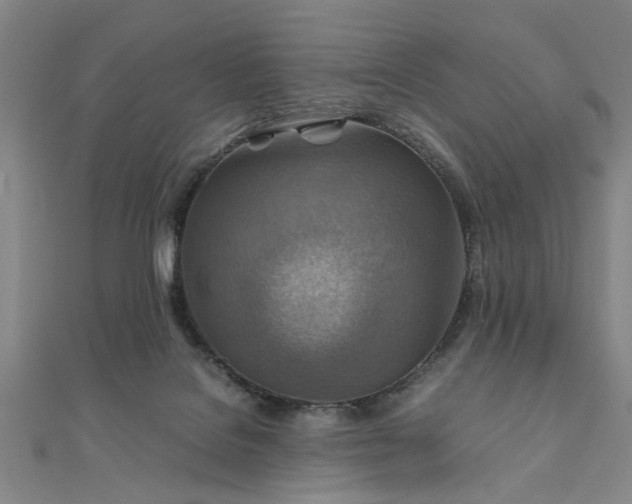 X0000111900076200908031126