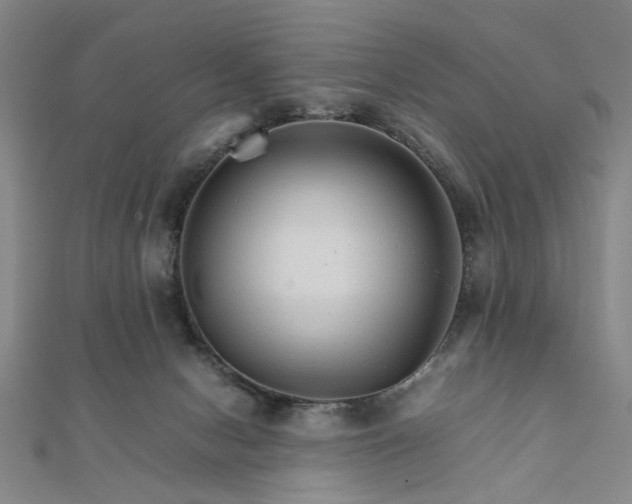 X0000111900078200908031126