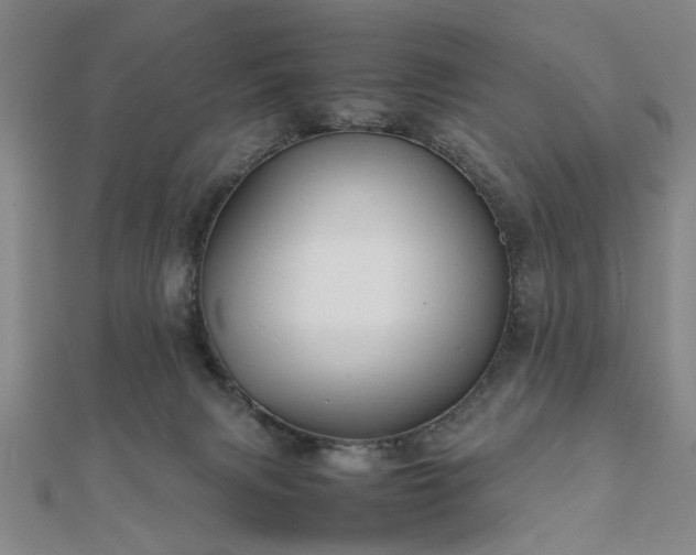 X0000111900079200908031126