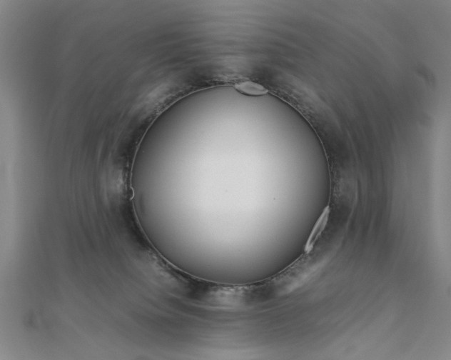 X0000111900084200908031126