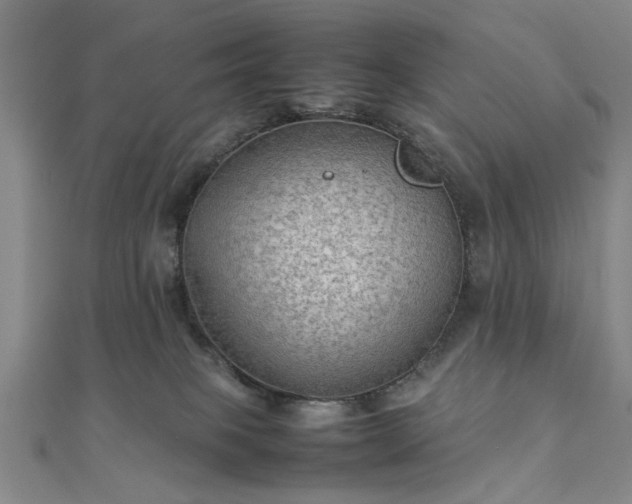 X0000111900085200908031126