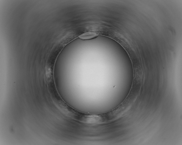 X0000111900087200908031126