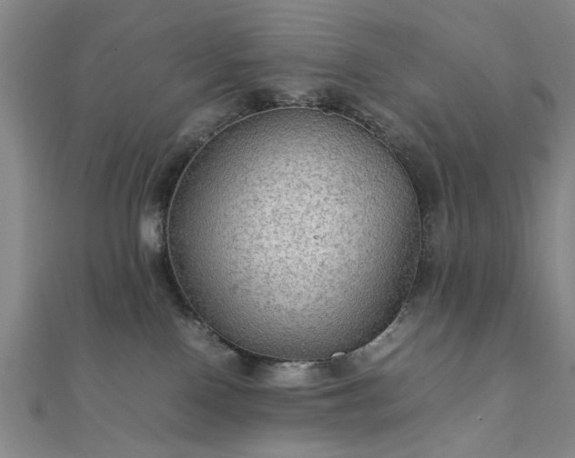 X0000111900090200908031126