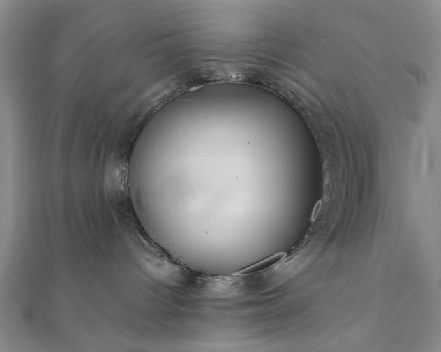 X0000111900096200908031126