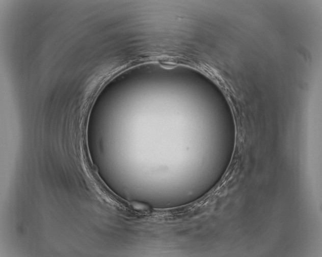 X0000111900097200908031125