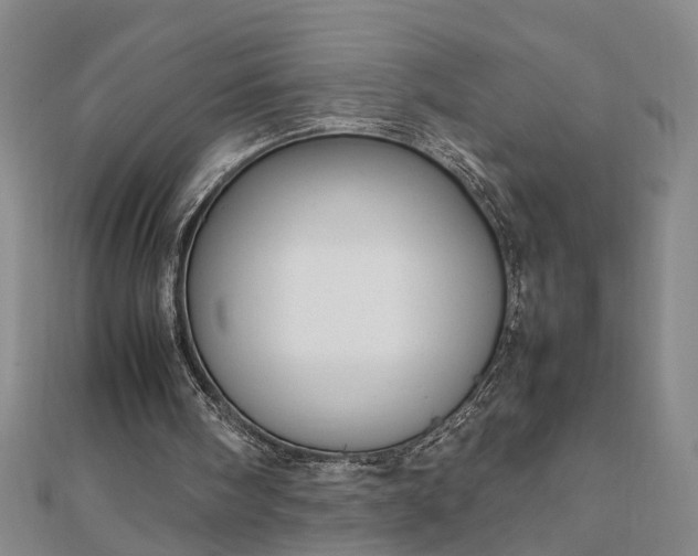 X0000111900098200908031125