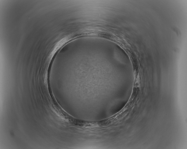 X0000111900099200908031125