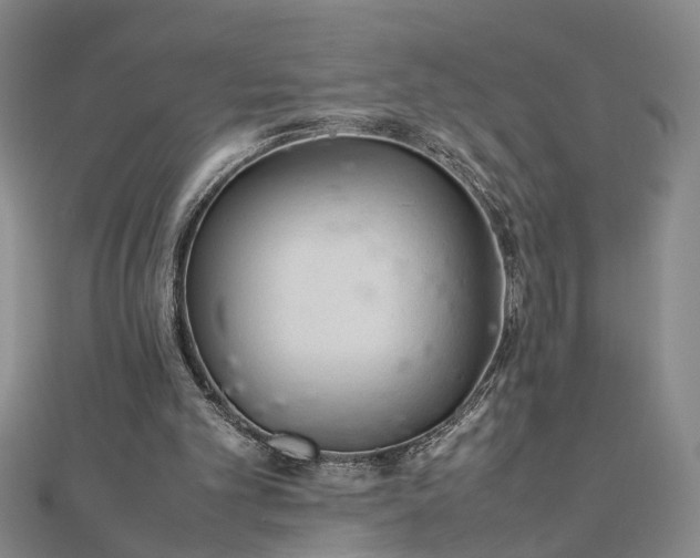 X0000111900101200908031125