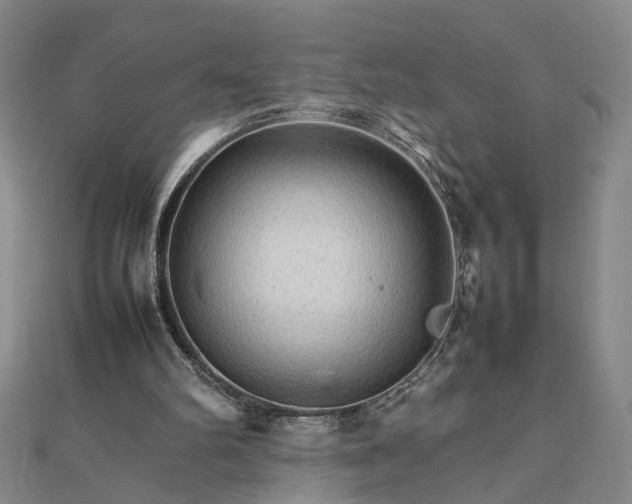 X0000111900102200908031125