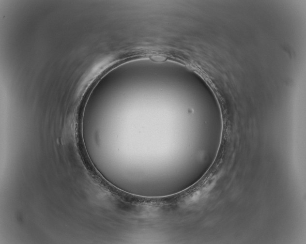 X0000111900103200908031125