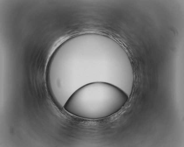 X0000111900104200908031125