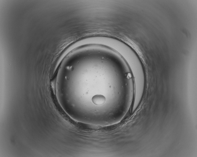 X0000111900105200908031125