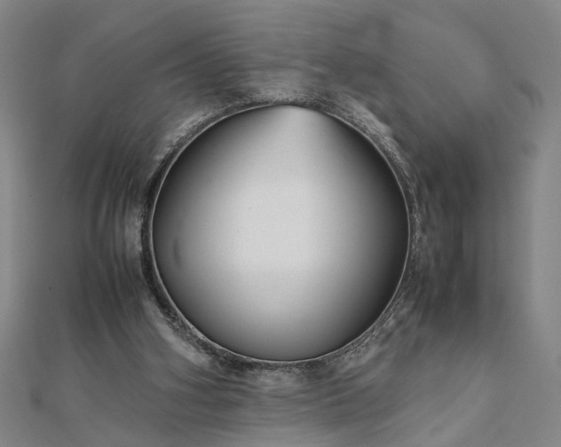 X0000111900106200908031125