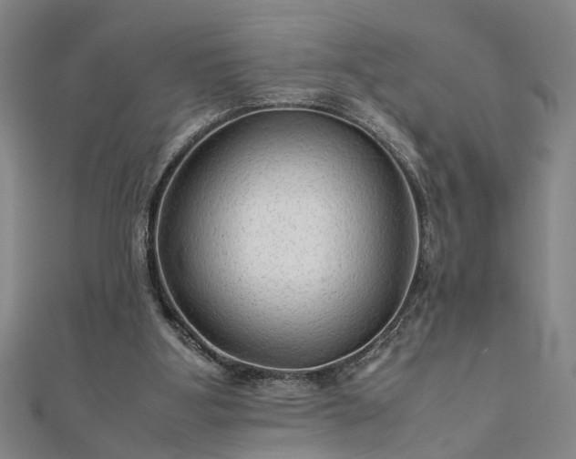 X0000111900107200908031125