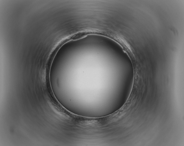 X0000111900108200908031125