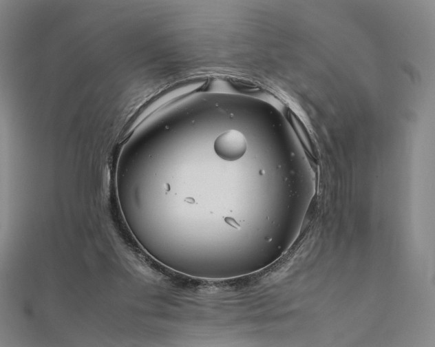 X0000111900109200908031125