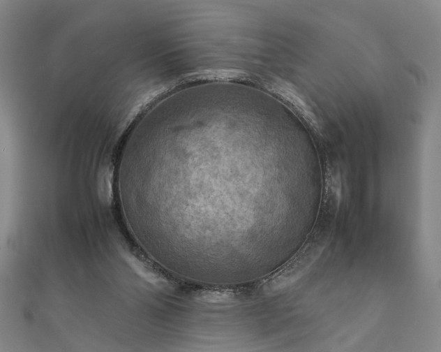 X0000111900110200908031125