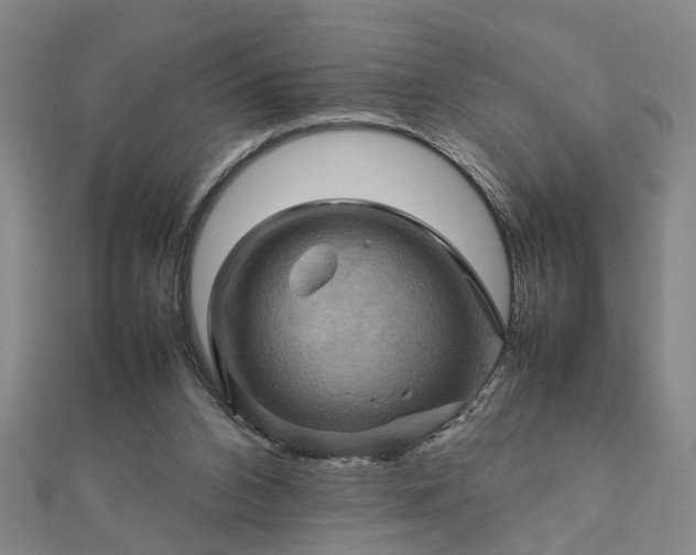 X0000111900112200908031125