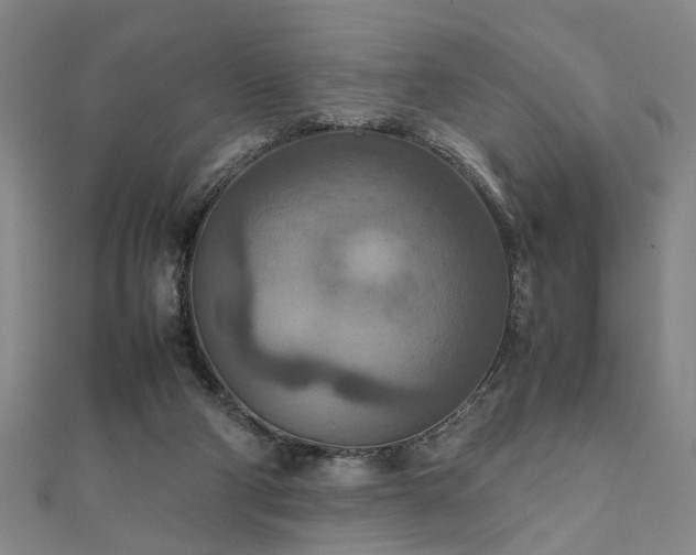 X0000111900114200908031125