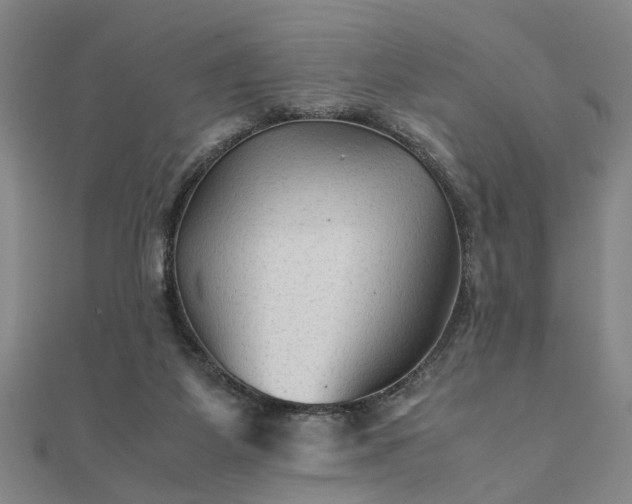 X0000111900115200908031125