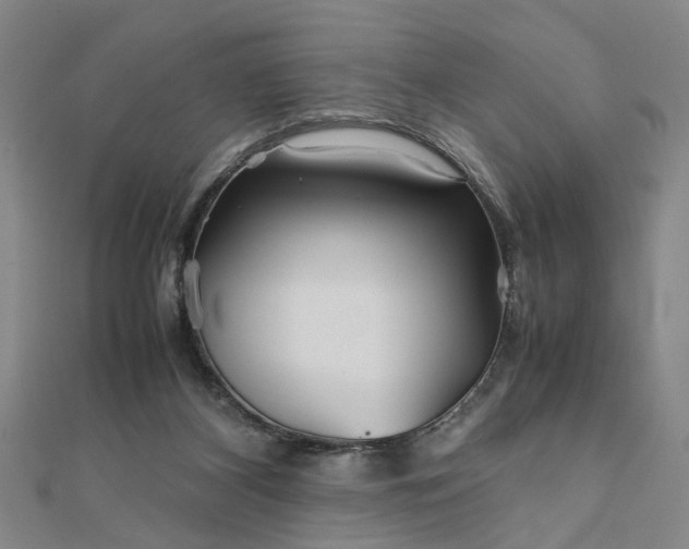 X0000111900116200908031125