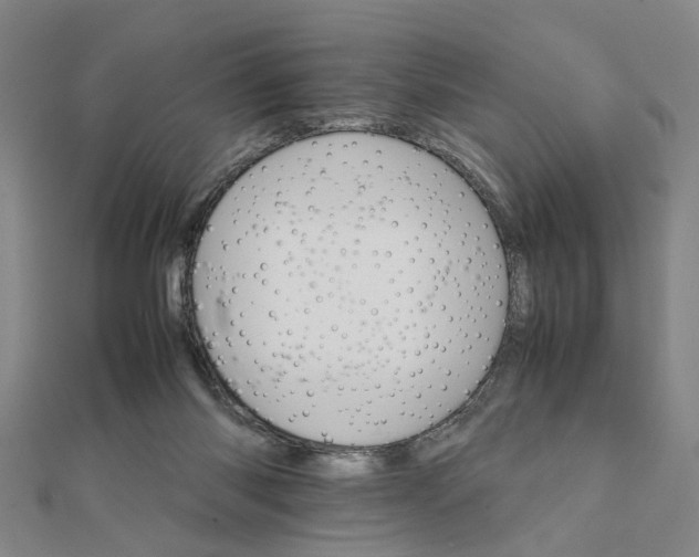 X0000111900118200908031125