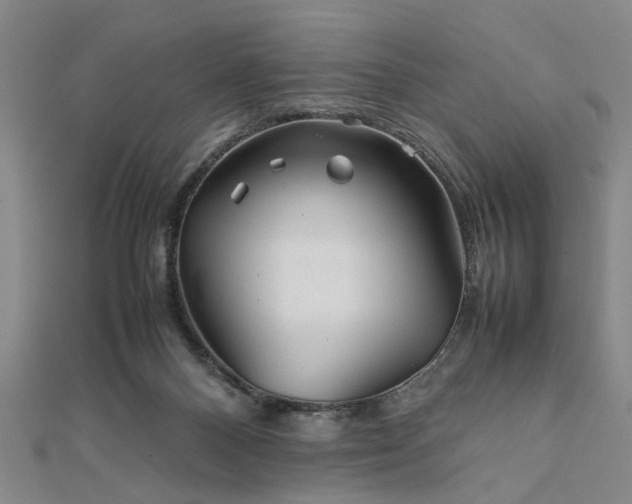 X0000111900120200908031125