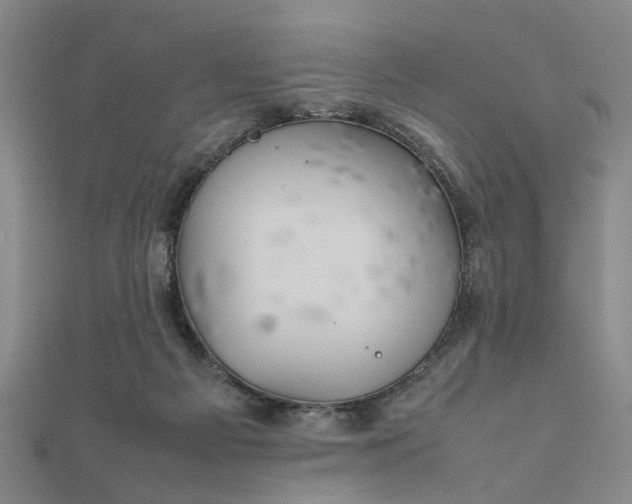 X0000111900121200908031125