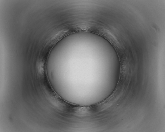 X0000111900122200908031125