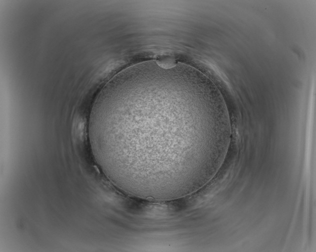 X0000111900123200908031125