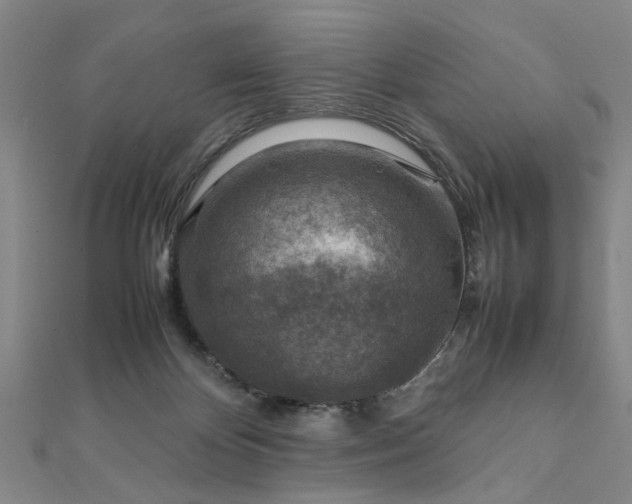 X0000111900124200908031125