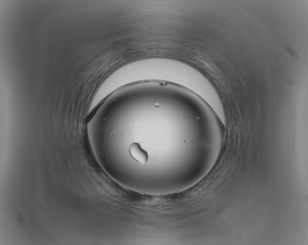 X0000111900125200908031125