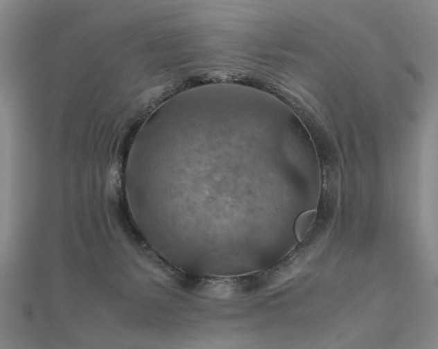 X0000111900127200908031125