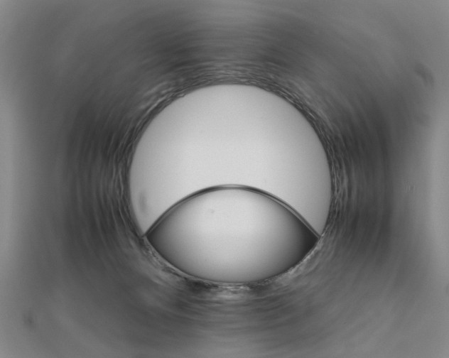 X0000111900128200908031125