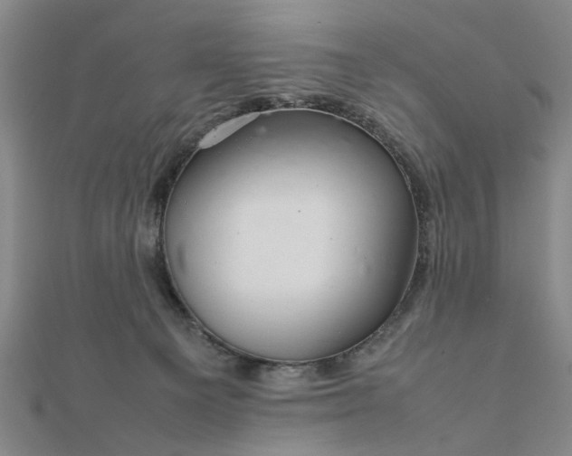 X0000111900129200908031125