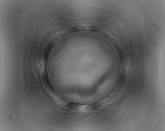 X0000111900130200908031125