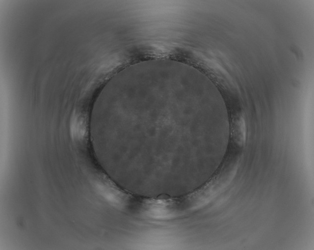 X0000111900131200908031125