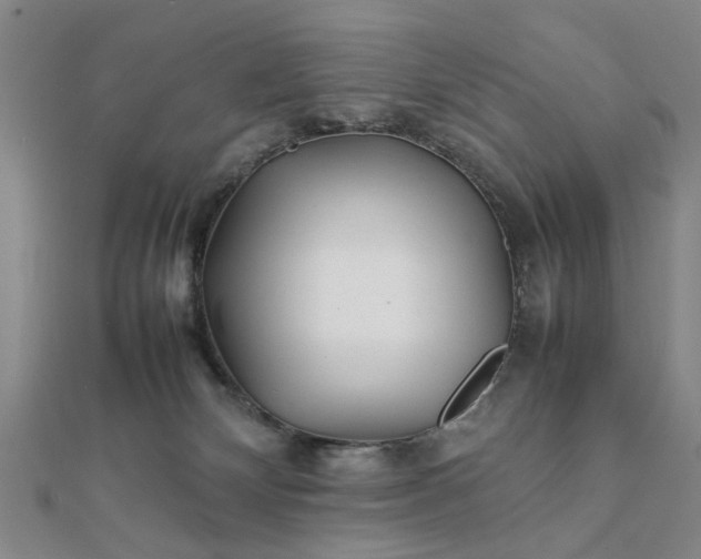 X0000111900132200908031125