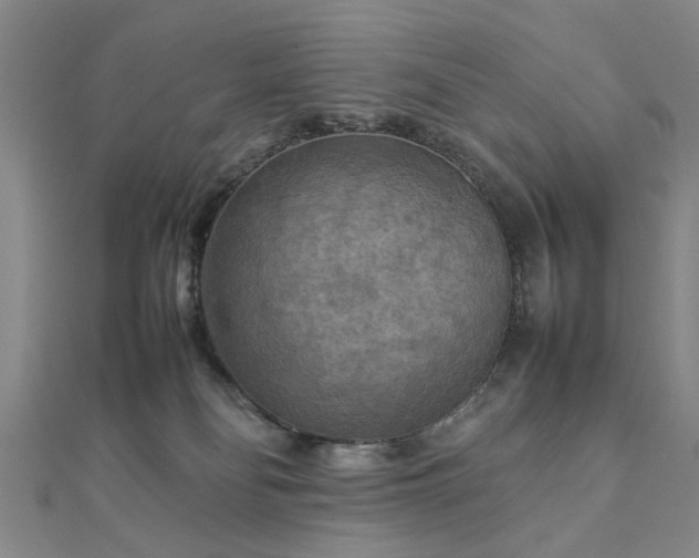 X0000111900134200908031125