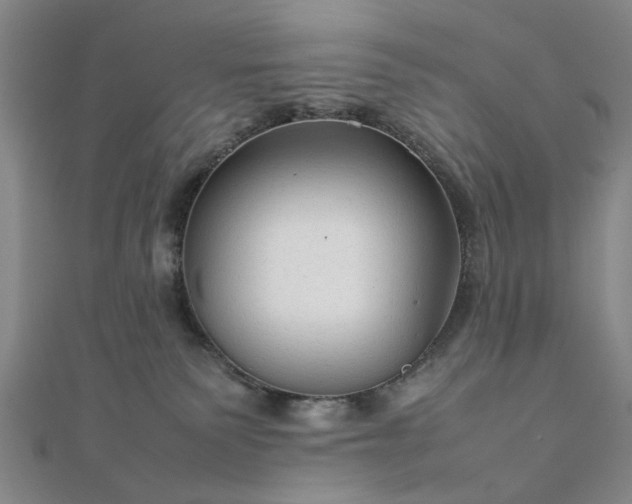 X0000111900135200908031125