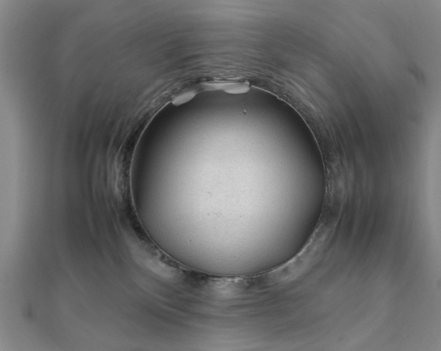 X0000111900136200908031125