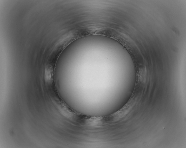 X0000111900138200908031125