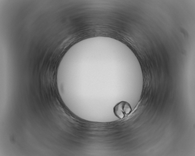 X0000111900140200908031125