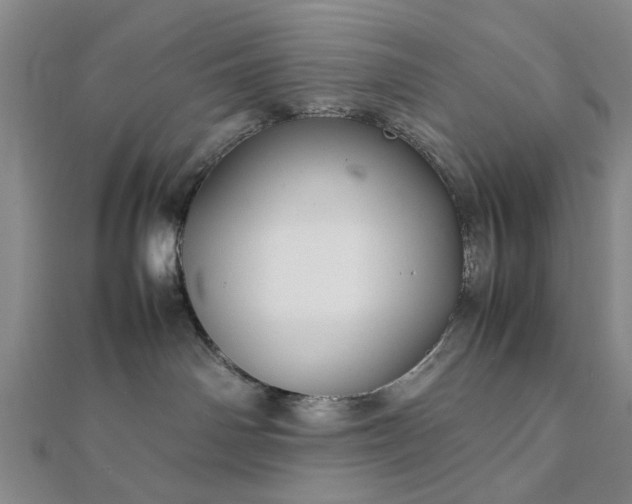 X0000111900142200908031125