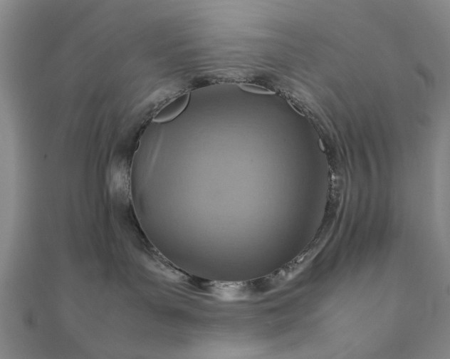 X0000111900143200908031125