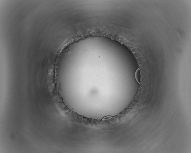 X0000111900144200908031125