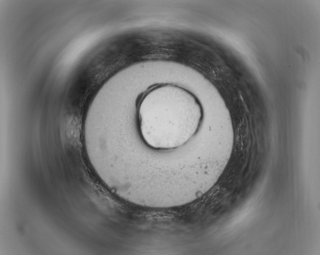 X0000111900146200908031124