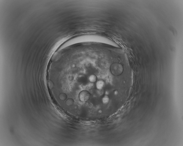 X0000111900147200908031124